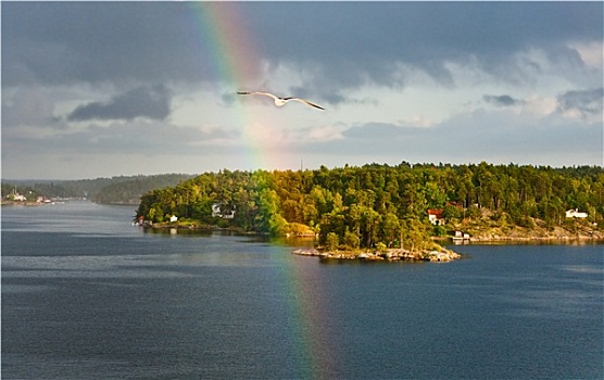 彩虹,雨,阳光,波罗的海