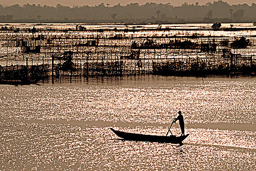 柬埔寨,靠近,金边,洪水,湄公河,男人