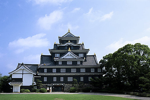 日本,冈山,城堡