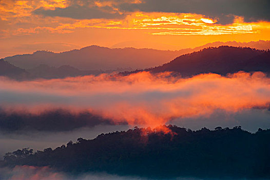 日出,雾,山谷,禁止,北方,泰国,亚洲