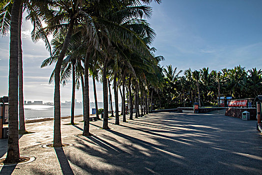 椰林沙滩