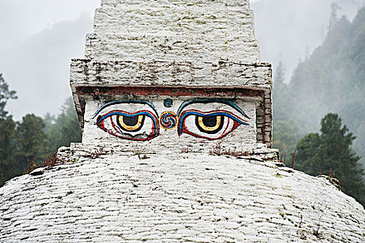 佛,眼,圣骨冢,不丹