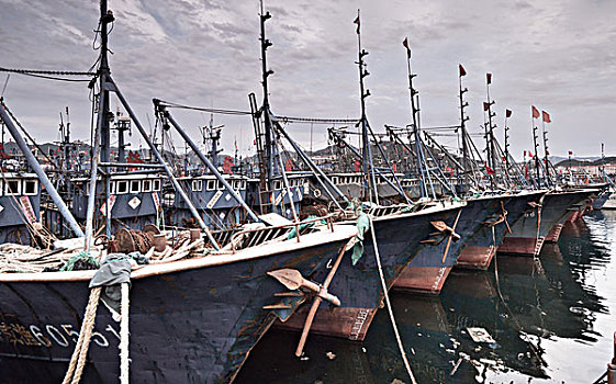 威海渔港停靠的捕鱼船