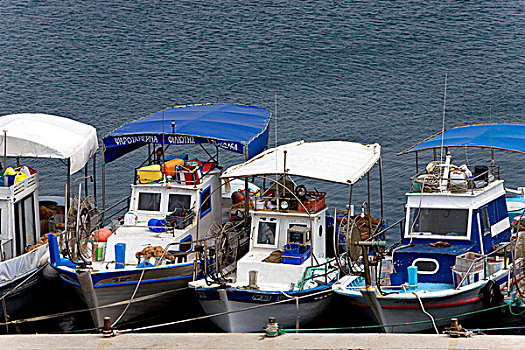船,捕鱼,港口,帕福斯,塞浦路斯,希腊,欧洲