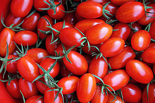 红色,西红柿,背景