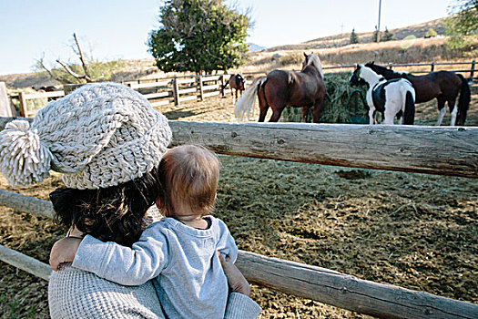母亲,拿着,孩子,儿子,户外,看,马,农场,后视图