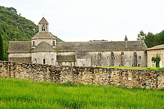 薰衣草种植区,正面,教堂,沃克吕兹省,法国