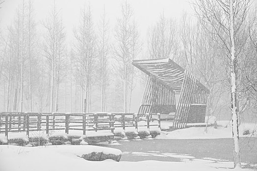 雪景