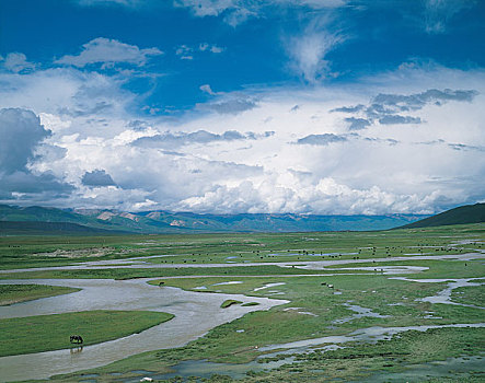 中国新疆巴音布鲁克河