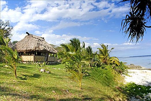 斐济,维提岛,珊瑚海岸,海滩,传统,草屋,靠近,海洋
