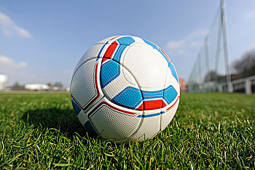 足球,球,德国,卧,草,地点