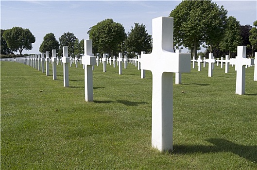 荷兰,六月,军事,墓穴,军人,美洲,墓地,纪念