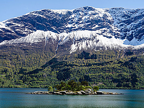 风景,上方,枝条,松恩峡湾,靠近,挪威