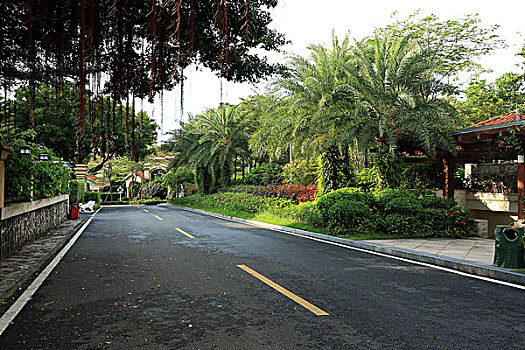 美丽的园林道路