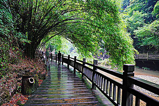 三峡,长江,三峡人家