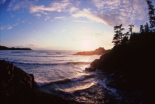 海岸线,日落,长滩,温哥华岛,不列颠哥伦比亚省,加拿大