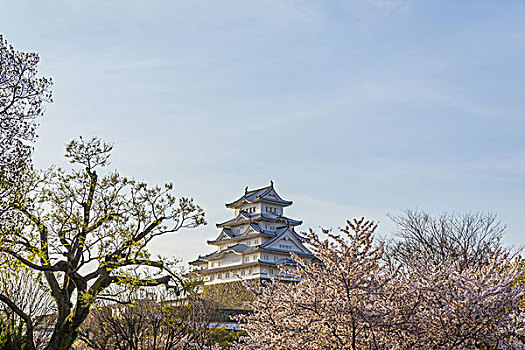 姬路城堡,姬路,亚洲,日本