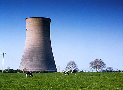 爱尔兰,核电站