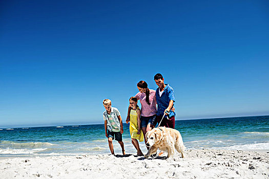 可爱,家庭,遛狗,海滩