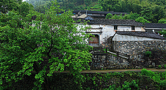 古村,古建筑,老房子,山村