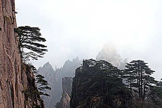 黄山,奇石,云海,壮观,名胜,风景,0012