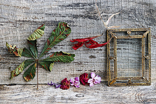 静物,花,叶子,黄铜,画框,木质背景