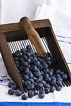 蓝莓,耙子,刺绣,布