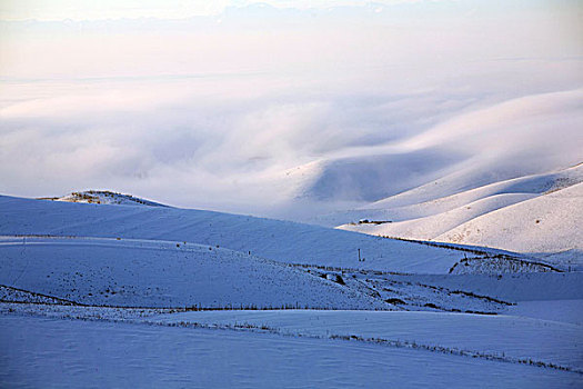 新疆伊犁赛里木湖果子沟冬日雪景