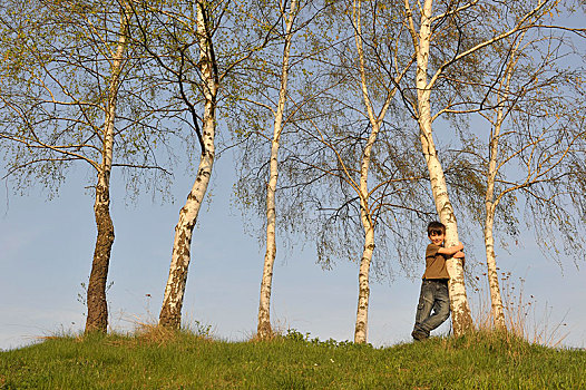 男孩,7岁,搂抱,桦树,图林根州,德国,欧洲