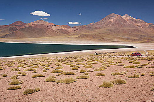智利,阿塔卡马沙漠,泻湖,沙漠,湖,风景