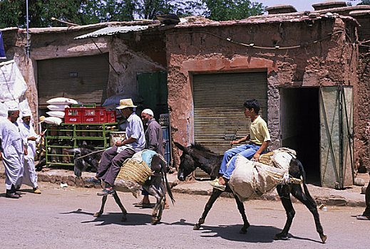 摩洛哥,靠近,玛拉喀什,阿特拉斯山脉,市场,男人,驴
