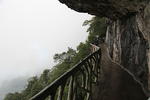 重庆南川,雨中金佛山云端栈道,与云雾起舞如仙如境