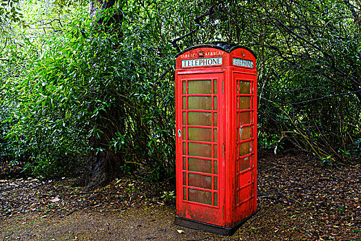 红色,电话亭,花园,康沃尔,英格兰,英国