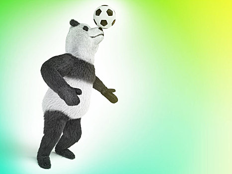 马戏团,竹子,熊,大熊猫,站立,伸展,腿,追逐,球,鼻子,惊奇,动物