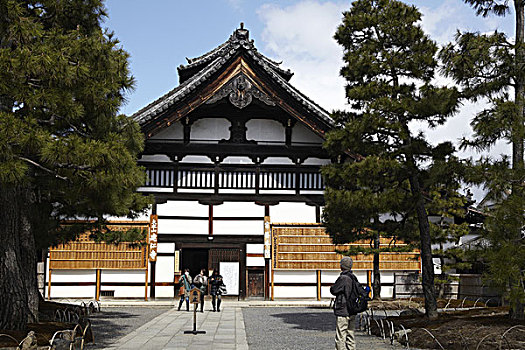 京都,骑自行车,日本