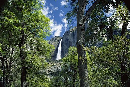 婚纱瀑,翻滚,脚,山谷,地面,优胜美地国家公园,加利福尼亚