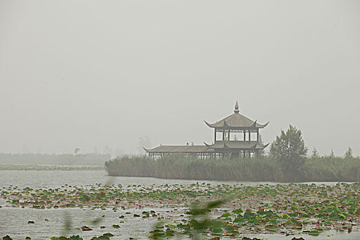 泗洪湿地公园风光