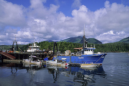 加拿大,温哥华岛,渔船