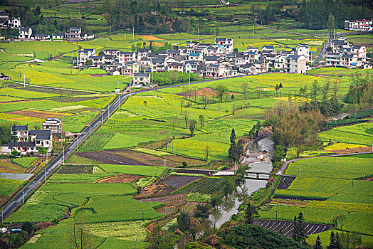 黄山市黟县柯村风光