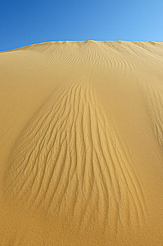 沙丘,蓝天,沙子,海洋,利比亚沙漠,撒哈拉沙漠,埃及,北非,非洲