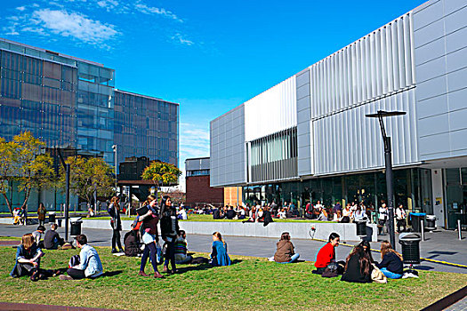 大学,悉尼,校园