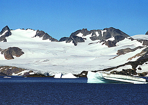 格陵兰,雪,海岸