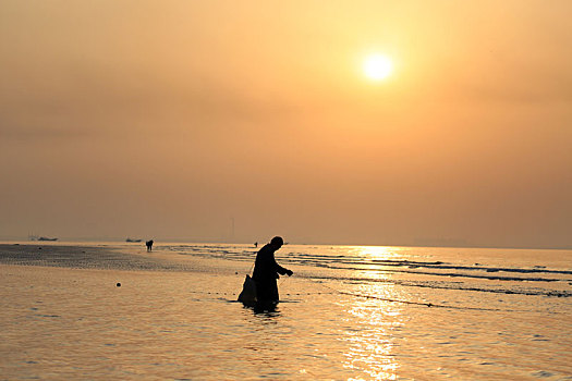 山东省日照市,渔民迎着第一缕阳光撒网捕鱼,赶海拾贝