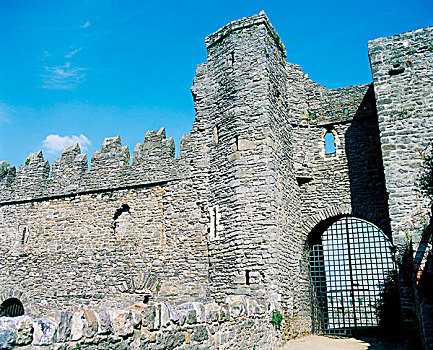 剑,城堡,都柏林,爱尔兰,13世纪
