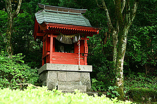 温泉,乡村,亭子,花园,风景