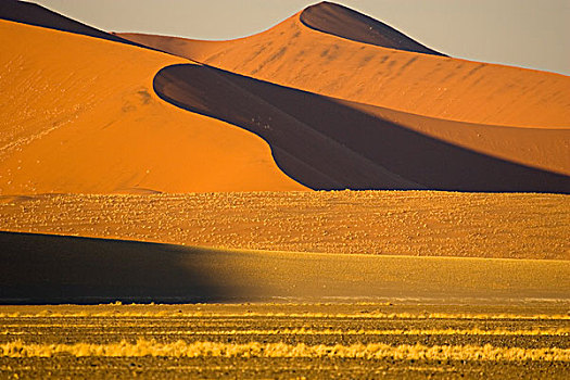 纳米比亚,世界遗产,纳米比诺克陆夫国家公园,最高,沙丘,漂亮,景色