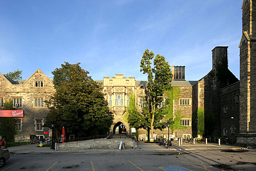 大学