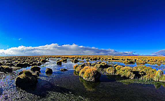 卓木拉日峰和帕里湿地