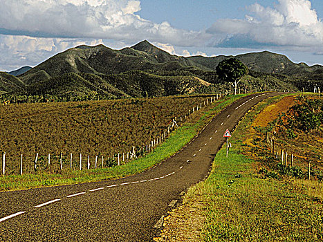 新加勒多尼亚,道路