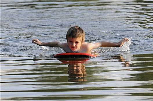 男孩,游泳,趴板,自然,湖,策勒,下萨克森,德国